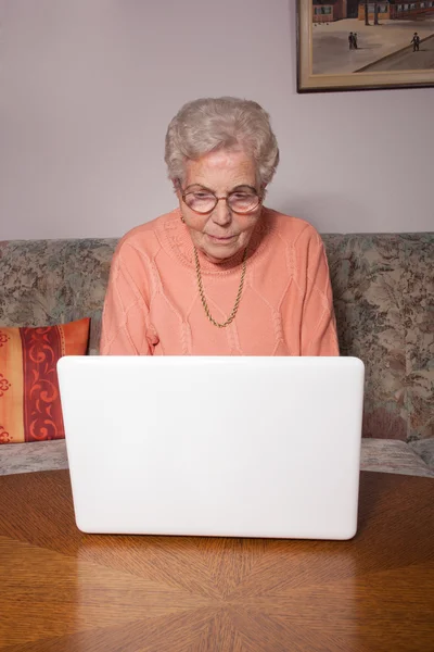Egy öregasszony, a laptop — Stock Fotó