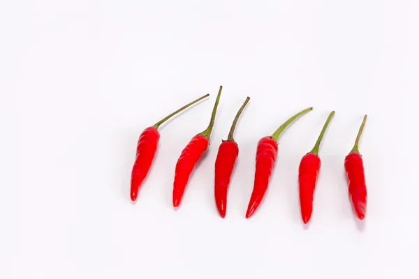 stock image Many chilli peppers