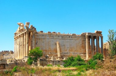 Jupiter's temple. Baalbek, Lebanon clipart