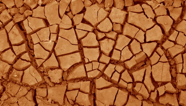 Textura da terra rachada seca — Fotografia de Stock