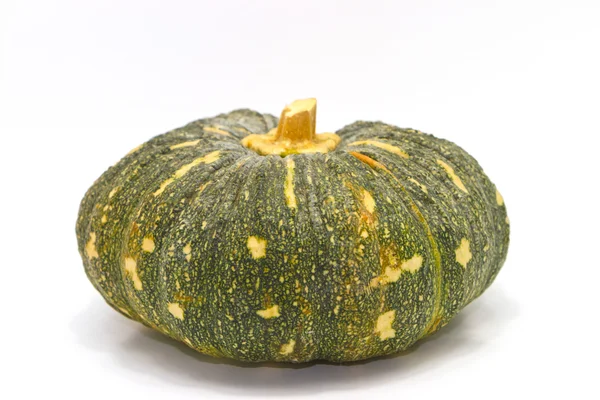 stock image Pumpkin