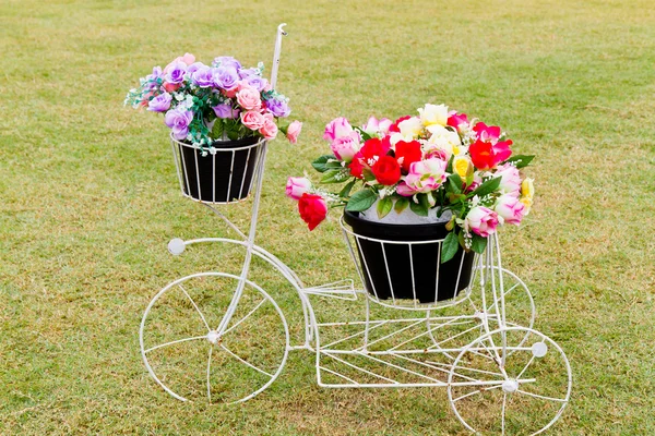 Bisiklet ile çiçek — Stok fotoğraf