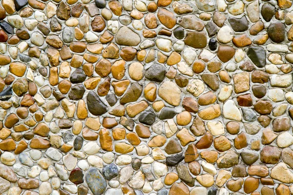 Pedra redonda molhada — Fotografia de Stock