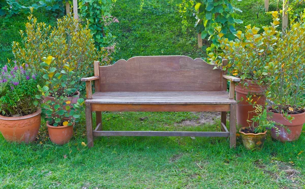 Trädgård och stol — Stockfoto