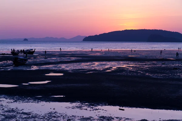 stock image Beautiful sunset