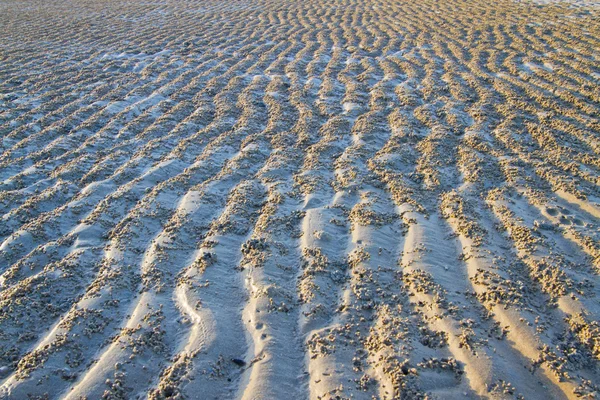 Stock image Sand texture