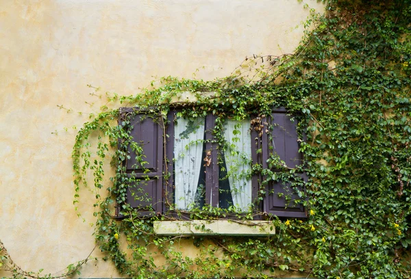 Vintage wall — Stock Photo, Image