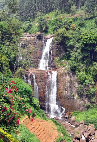 Cachoeira perto de plantação de chá — Fotografia de Stock