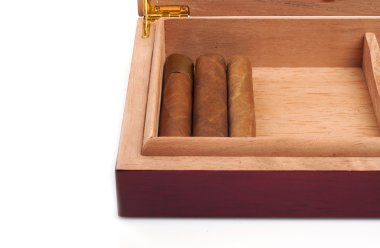 Beyaz adam izole puro ile açılan humidor bir parçası