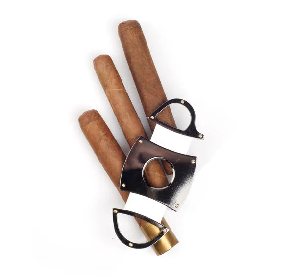 Cigars and a cutter that lay on it isolated on white background. — Stock Photo, Image