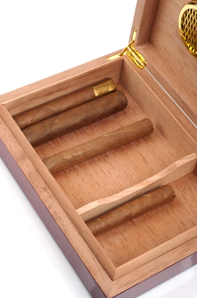 A part of opened humidor with cigars isolated on white backgroun — Stock Photo, Image