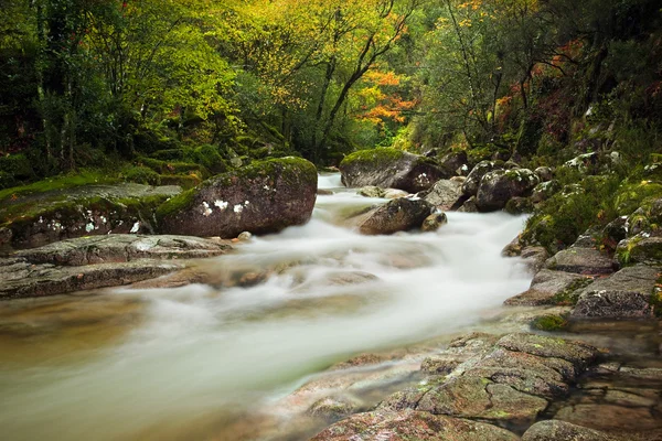 Autumn river at Geres National Park, north of Portugal — Stock Photo, Image