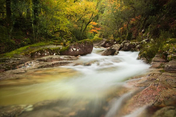 Río Otoño en el Parque Nacional de Geres, al norte de Portugal — Foto de Stock