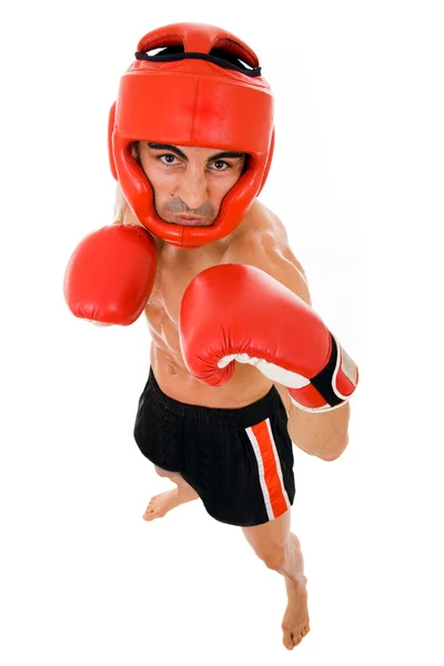Вид сверху на молодого бойца Боксера в боксерском шлеме и перчатках — стоковое фото