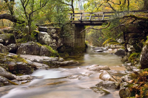 Sungai kecil di taman nasional portugis Geres di beautifu — Stok Foto