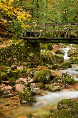 küçük tahta köprüden ormanda geres ulusal park, buna