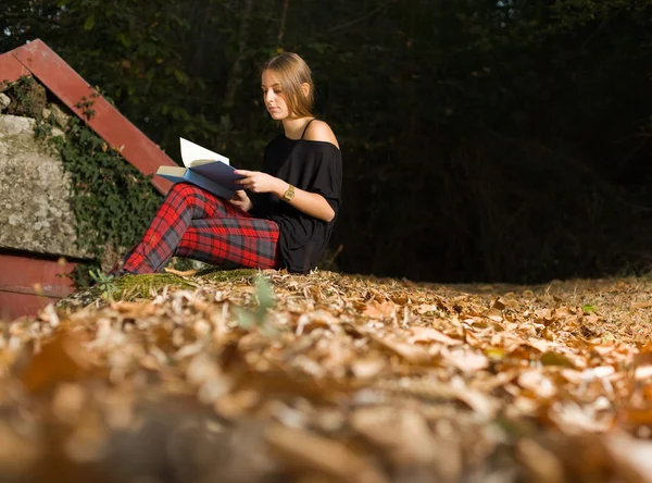 Jovem bela mulher lendo um livro no parque de outono — Fotografia de Stock