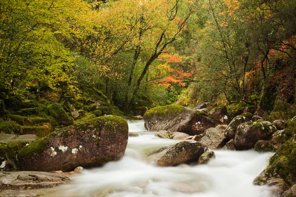 Autumn river at Geres National Park, north of Portugal — 图库照片