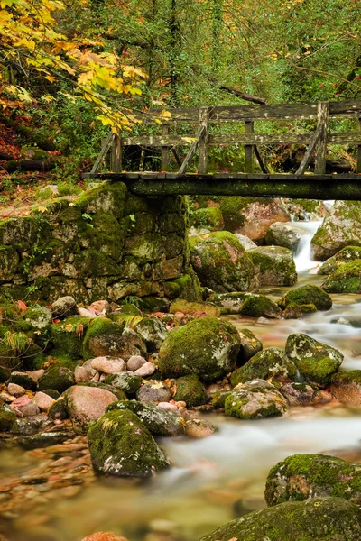 Small wooden bridge in the woods at Geres National Park, in the — Stock Photo, Image
