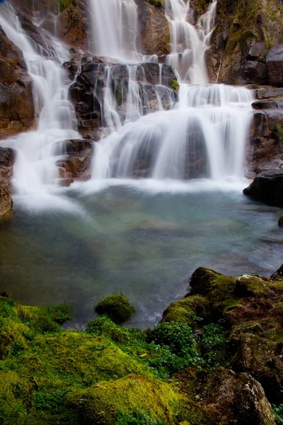 Cascata della foresta profonda nel parco nazionale di Geres, Portogallo — Foto Stock