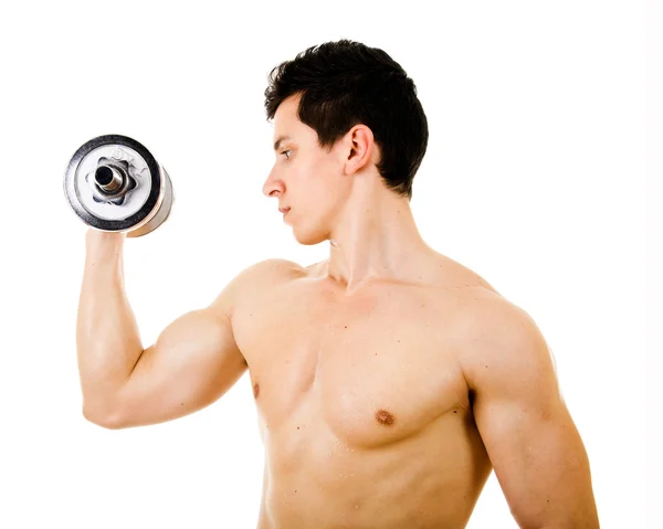 Young man lifting weights on white background Stock Image