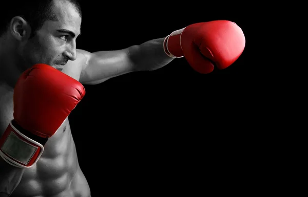 Young Boxer fighter over black background Stock Picture