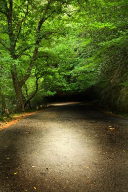 Road dağ