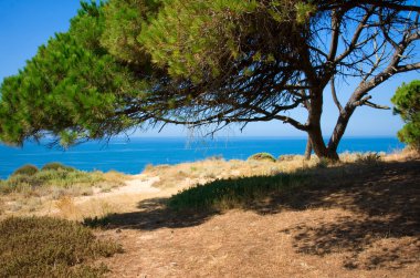 Algarve Beach