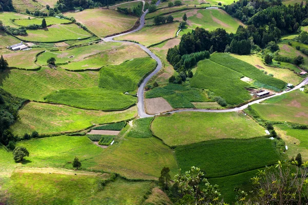 stock image Farm fields in the S. Miguel island, Azores