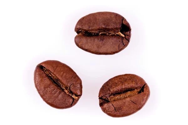 Três grãos de café. Isolado sobre fundo branco — Fotografia de Stock