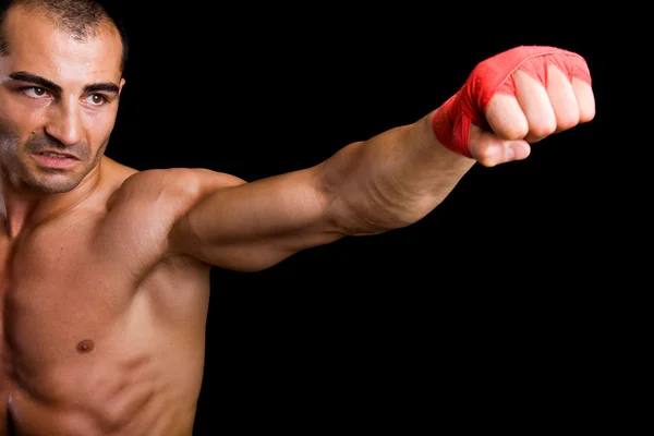 Mladý boxer Boxer černém pozadí — Stock fotografie