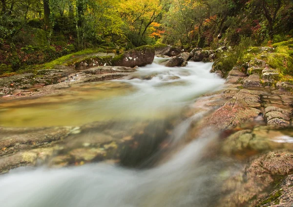 Autumn river at Geres National Park, north of Portugal — Stock Photo, Image