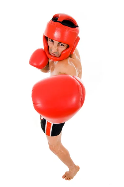 Молодий боксер винищувач — стокове фото