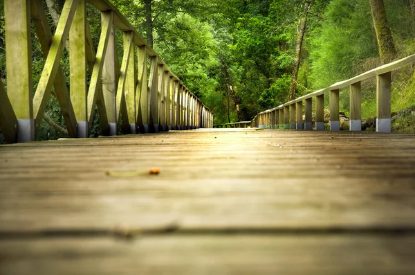 Pont en bois — Photo
