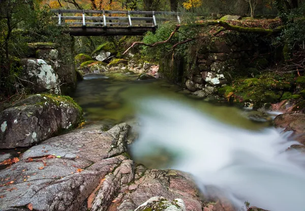 stock image Wood bridge at Geres National Park