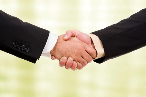 Businesspeople shaking hands — Stock Photo, Image