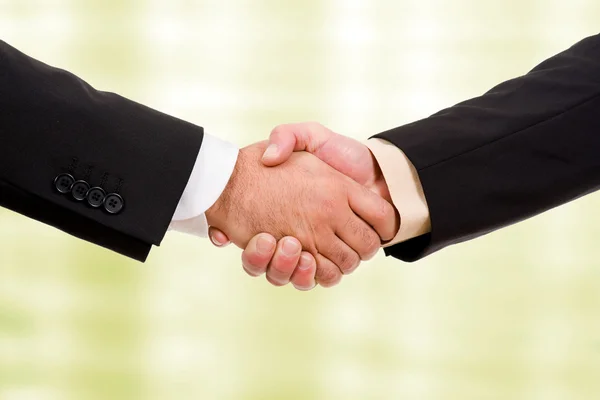 Businesspeople shaking hands