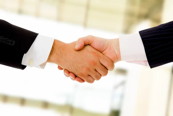 Stock image Businesspeople shaking hands