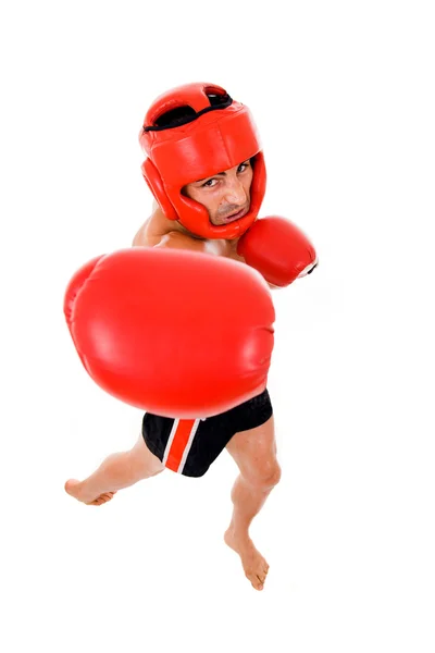 Молодий боксер винищувач — стокове фото