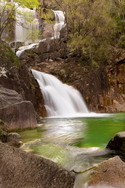 Waterfall at the jungle — Stock Photo, Image