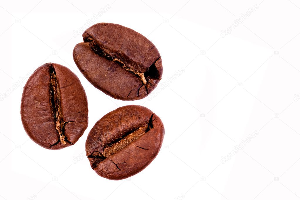 Three coffee beans. Isolated on white background