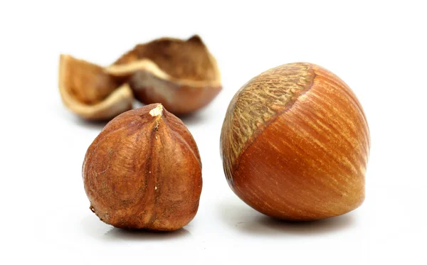 stock image Hazelnuts