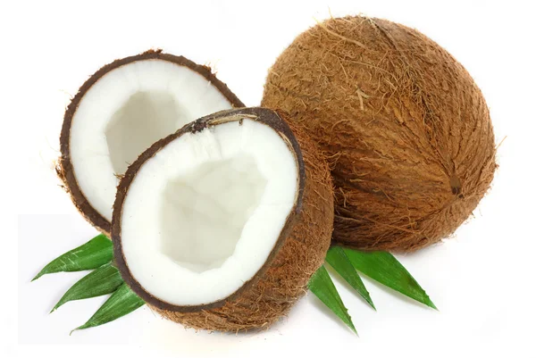 stock image Coconut