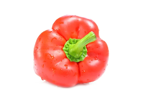 Red Paprika. Pepper isolated on white background. — Stock Photo, Image