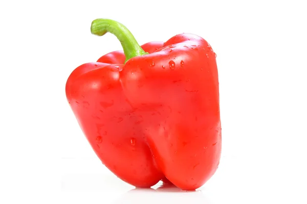 Red Paprika. Pepper isolated on white background. — Stock Photo, Image