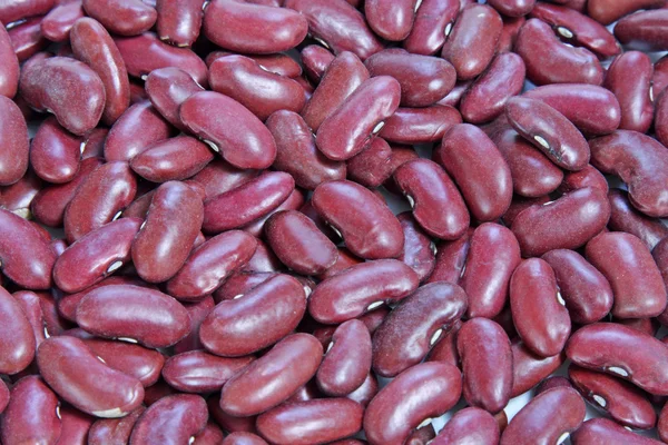 빨간 콩 — 스톡 사진