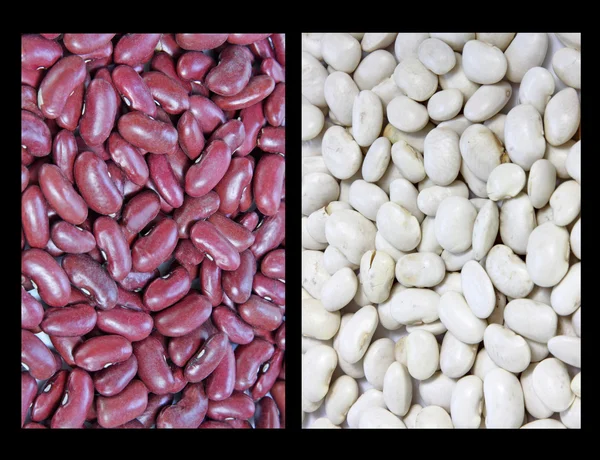 빨강과 흰색 콩 — 스톡 사진