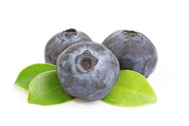 Bilberry. Beyaz arka plan üzerinde izole yaban mersini.