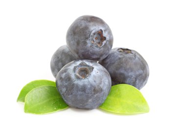 Bilberry. Beyaz arka plan üzerinde izole yaban mersini.