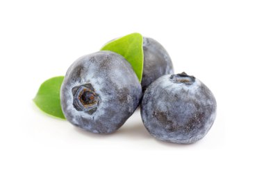 Bilberry. Beyaz arka plan üzerinde izole yaban mersini.